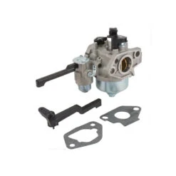 Carburateur Moteur Kohler CH395