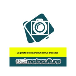 Embrayage Complet Motoculteur Staub