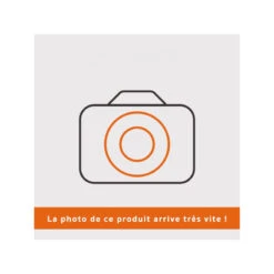 Volet Starter Débroussailleuse Echo